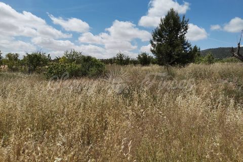 Landejendom i Yecla, Murcia, Yecla - € 65.000 | Ref: SF0314 - foto 24